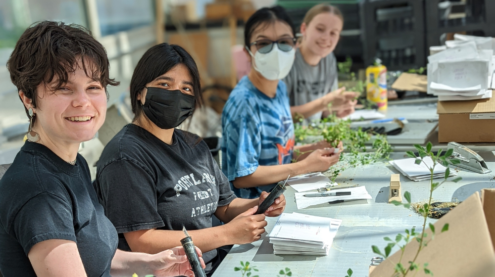 Students at a work station in a greenhouse working. Students at a work station in a greenhouse working.